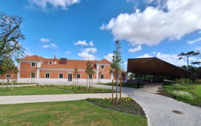 Museu Albuquerque Foundation no Linhó reúne acervo raro de porcelanas chinesas