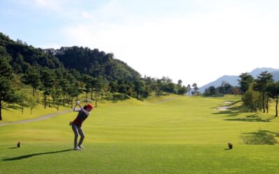 Penha Longa: luxo, história e natureza junto à Quinta da Beloura